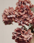 Spring Hydrangea Spray
