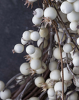 Berry Wreath | Cream