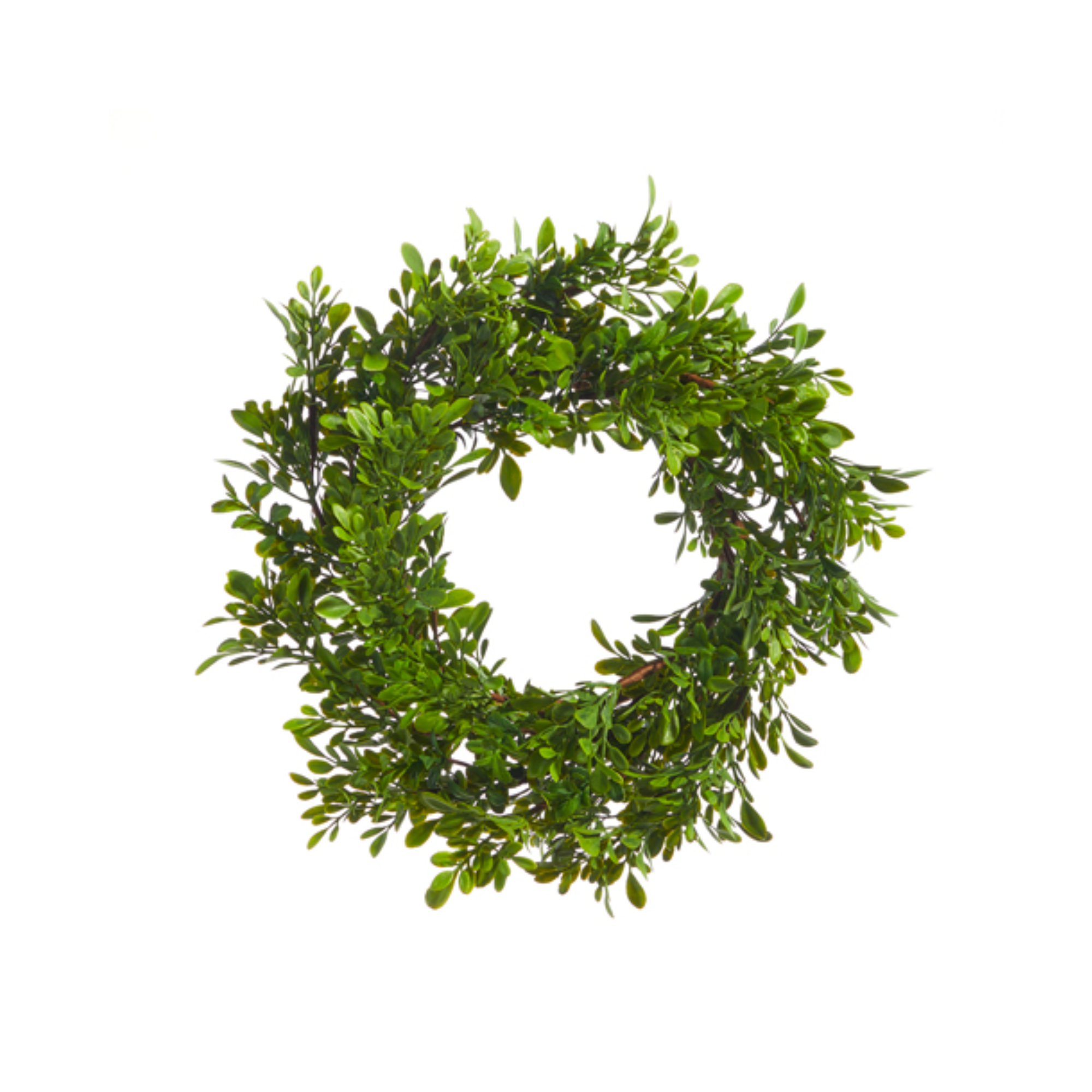 Boxwood Mini Wreath