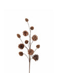 Pine Cone Spray
