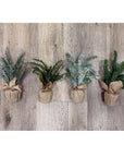 Burlap Frosted Pine Tree
