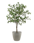 Potted Eucalyptus Tree | 6'