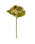 Fall Hydrangea Stem