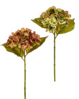 Fall Hydrangea Stem