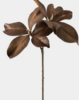 Natural Magnolia Leaf Spray