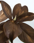 Natural Magnolia Leaf Spray