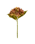 Fall Hydrangea Stem