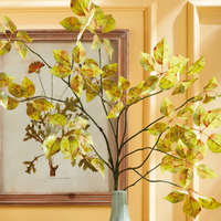 Leaf Branch Stem