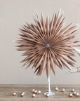 Folding Star With Stand
