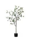 Green Leaf Tree