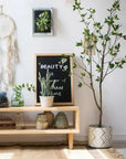 Green Leaf Tree