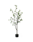 Green Leaf Tree