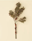 Harvest Berry Spray | Green