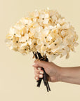 Hydrangea Bouquet | Cream