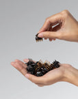 Black + Tort Micro Cloud Clip | 16pc Set