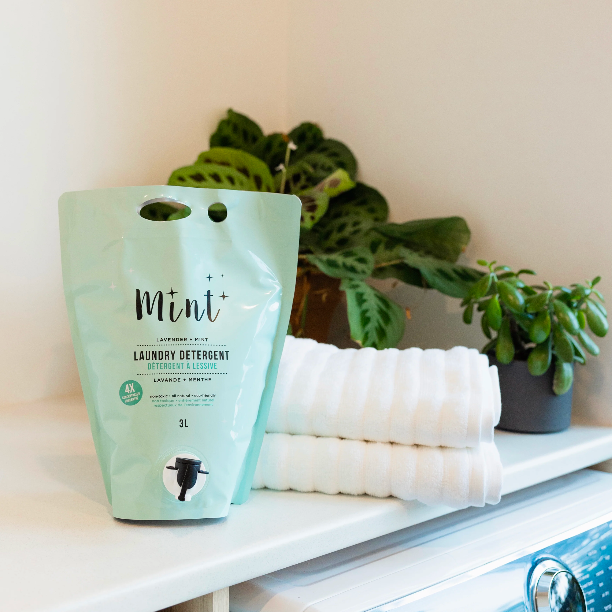 Mint Laundry Detergent