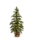 Lighted Pine Tree