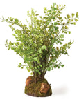 Maidenhair Drop-In