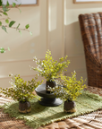 Maidenhair Drop-In