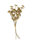 Meadow Grass Bouquet | Autumn