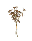 Meadow Grass Bouquet