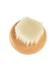 Mushroom Brush