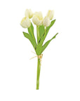 Natural Touch Tulip Bundle
