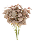 Plum Eucalyptus Spray