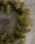 Queen Anne Lace Wreath