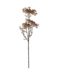 Queen Anne's Lace | Blush