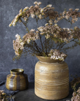 Queen Anne's Lace | Blush
