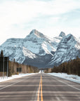 Roam Adventure Candle | Jasper