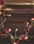 Red Berry Lights