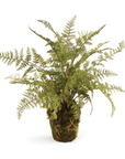 Soft Fern Drop-In | 13"