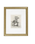 Coconino Framed Art