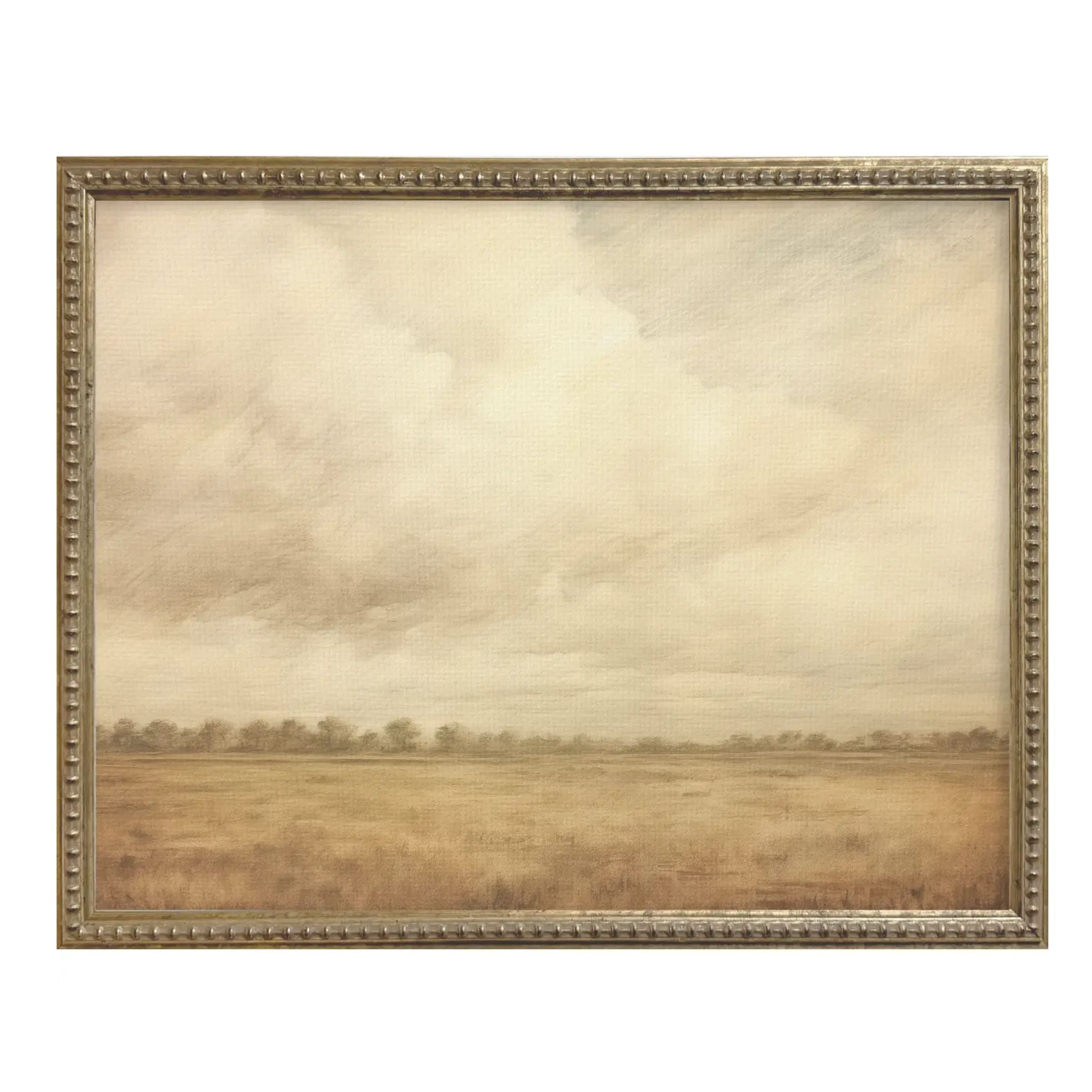 Vintage Plains Framed Print