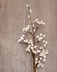 White Berry Branch