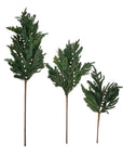 White Berry Evergreen Stem