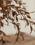 Willow Leaf Spray | Harvest