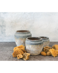 Earthy Pot