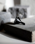 Everlasting Black Steel Funnel