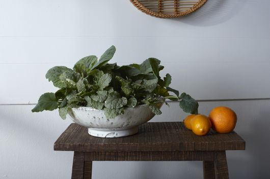 Divvy Bowl