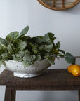 Divvy Bowl