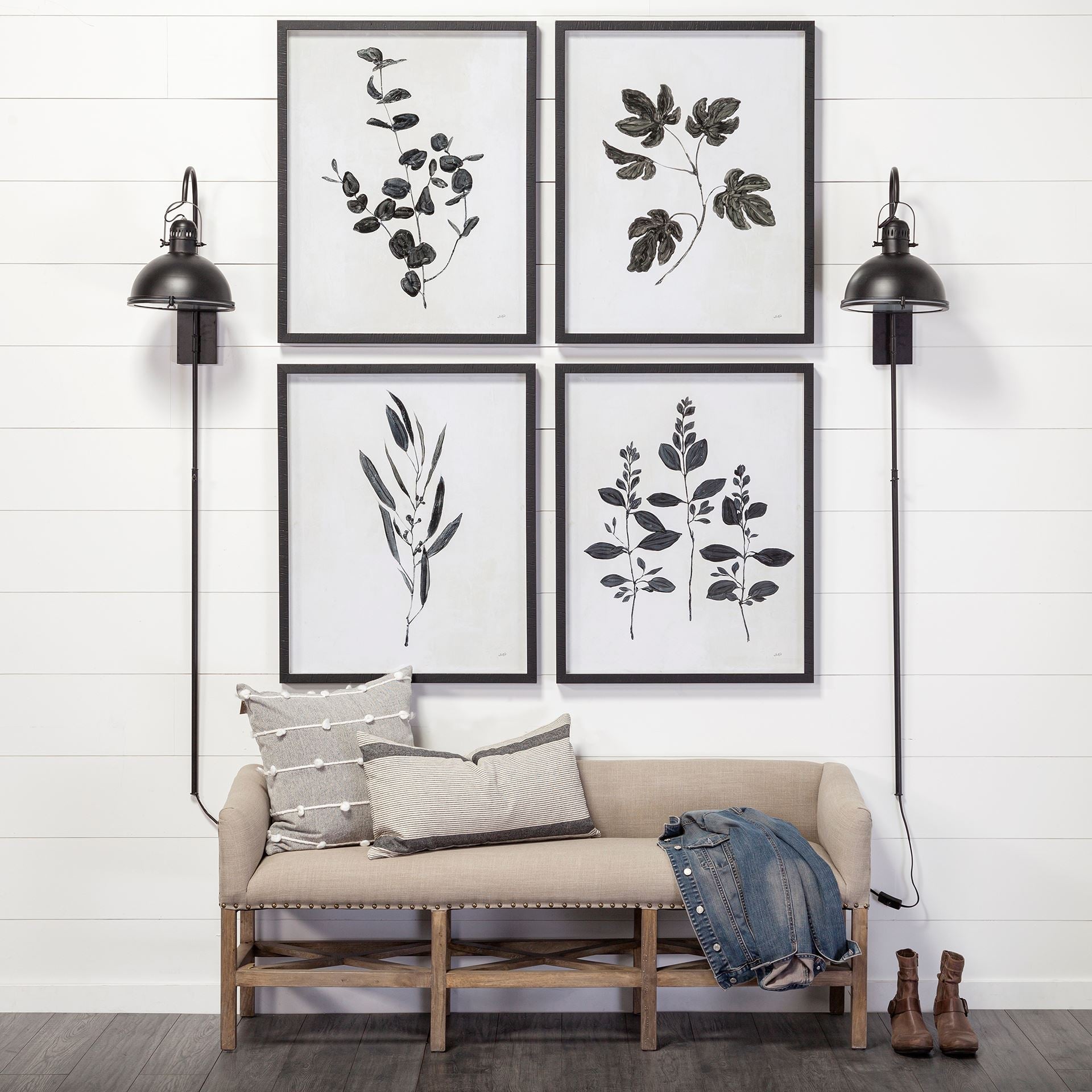 Botanical Study Wall Art IV