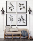 Botanical Study Wall Art III
