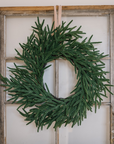 Norfolk Pine Wreath 24"