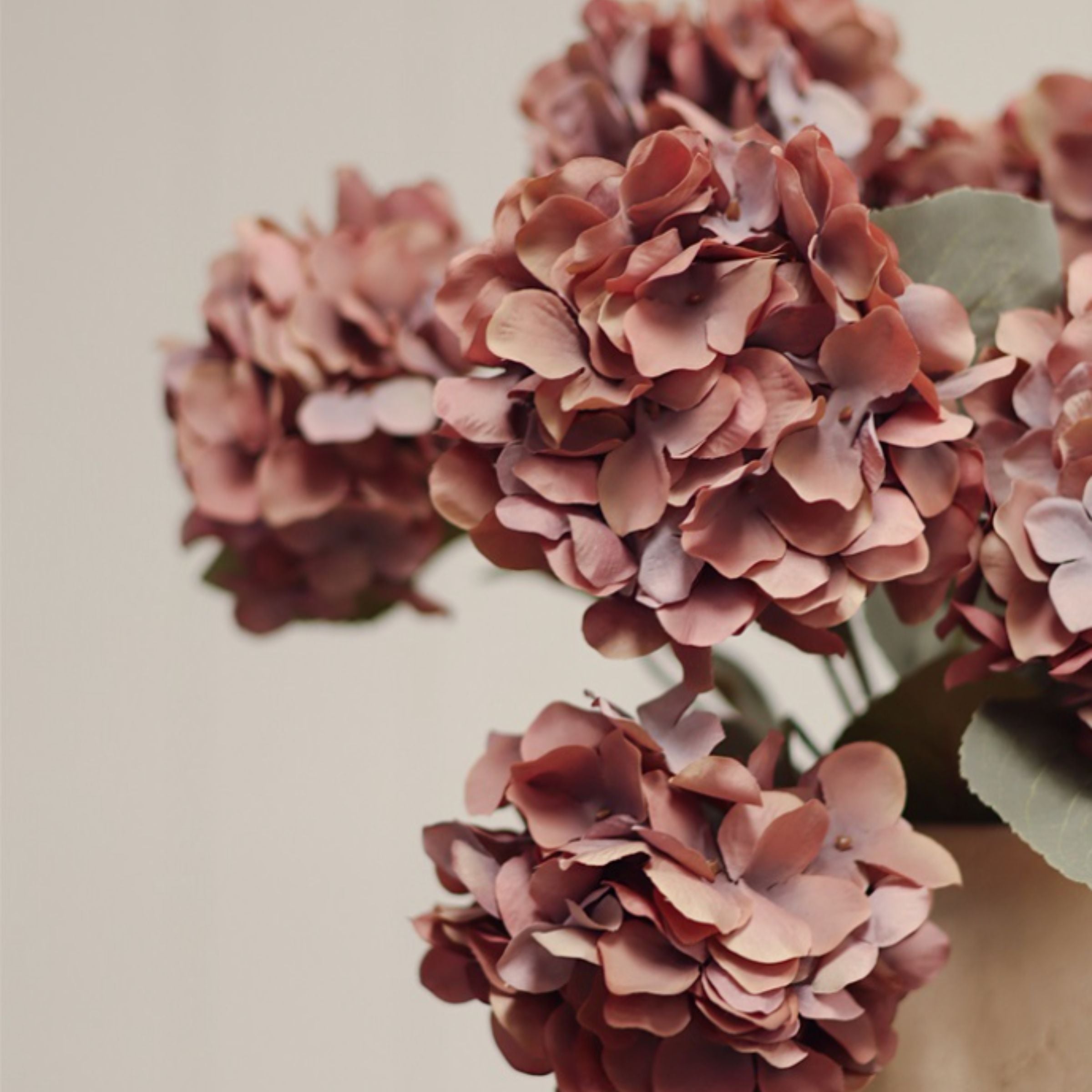 Spring Hydrangea Spray