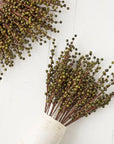 Berry Spray