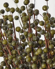 Berry Spray