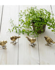 Brass Bird Decor